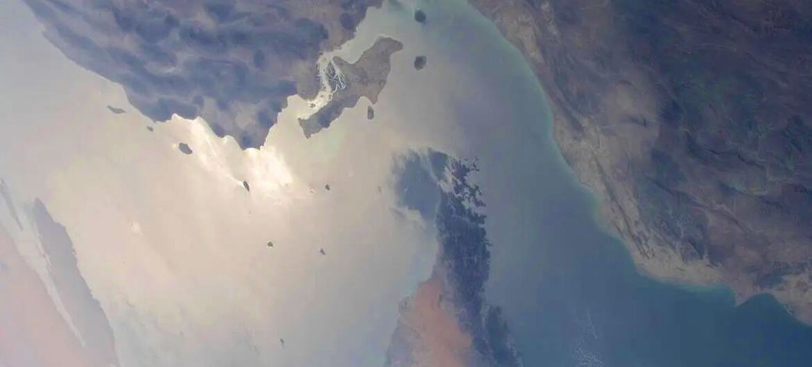 media:entermedia_image:4234bfc6-3f39-433f-b6ed-2d2190546639