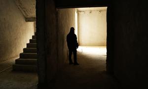 Susan was trafficked to a scam farm in Myanmar (file).