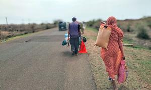 Families flee Sinja in southeastern Sudan following violent clashes.