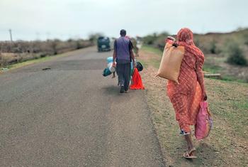 Families flee Sinja in southeastern Sudan following violent clashes.