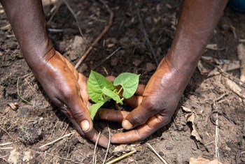 لدى جمهورية الكونغو الديمقراطية إمكانيات الكبيرة لإنتاج الغذاء لشعبه وتوفير فرص العمل للشباب.