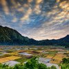 Indonesia has no shortage of fertile farming land.