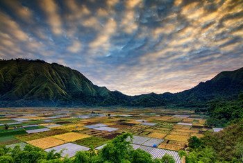 Indonesia has no shortage of fertile farming land.