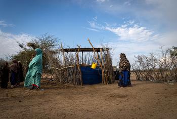 Communities in Maalimin, in northern Kenya are experiencing drought conditions.