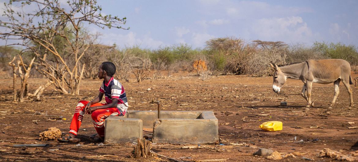 Comunidades em Maalimin, no nordeste do Quénia, enfrentam condições de seca