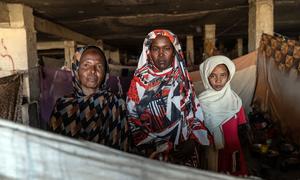 Families shelter in a former bus station turned displacement site in Gedaref, Sudan.