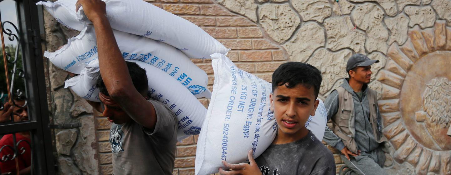 UNRWA works every day to provide critical services across the Gaza Strip, including flour distribution to support the Gazan population.