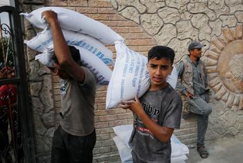 UNRWA works every day to provide critical services across the Gaza Strip, including flour distribution to support the Gazan population.