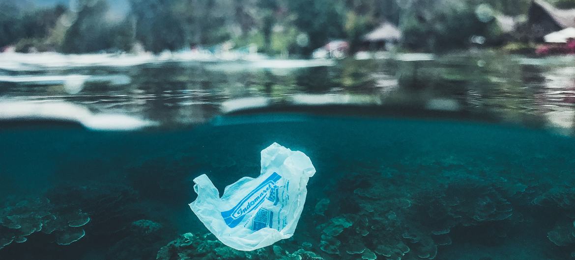 Saco plástico de uso único flutuando perto de um recife de coral em Bali
