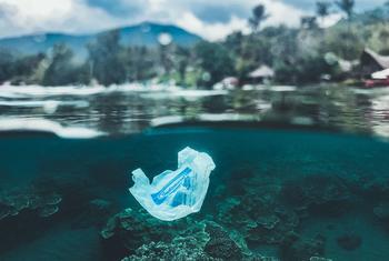 Saco plástico de uso único flutuando perto de um recife de coral em Bali
