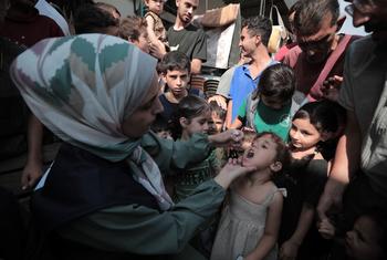 Niños de Gaza vacunados contra la poliomielitis.