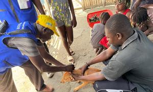 Se estima que 140 000 perros han sido vacunados contra la rabia en cuatro departamentos de Haití.