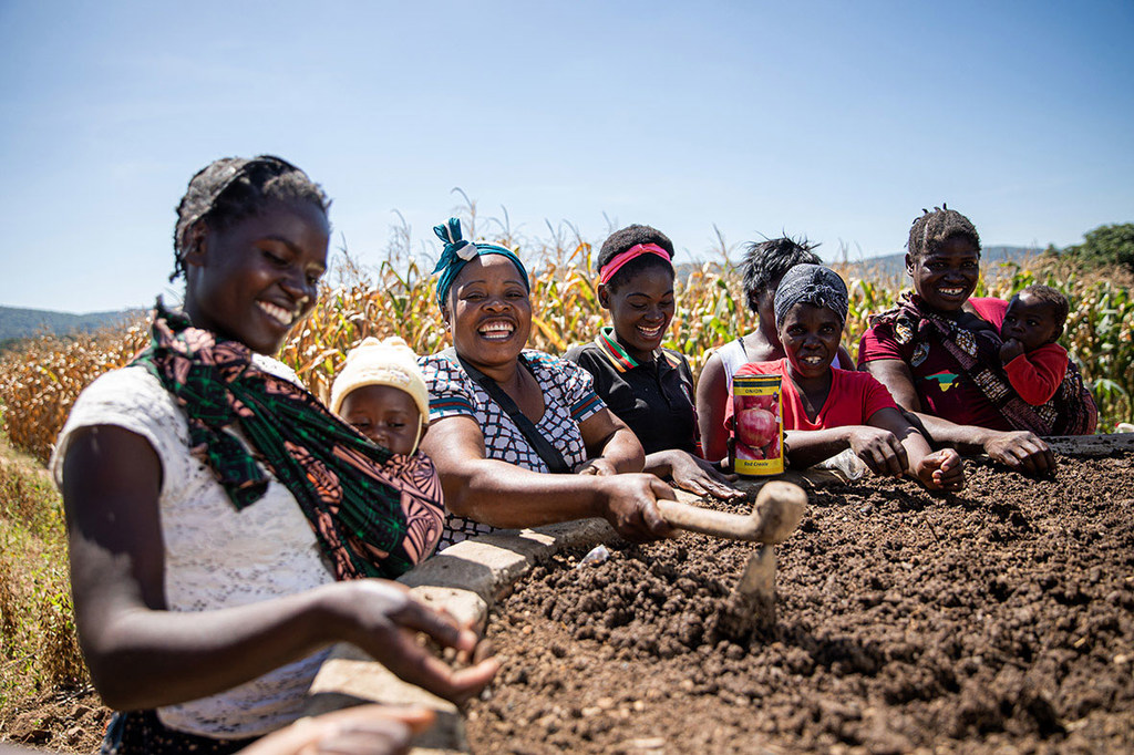 在赞比亚奇帕塔，当地妇女学习耕种。