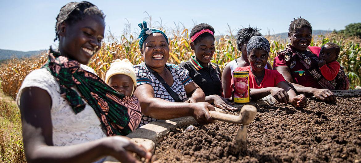 Zambiya, Chipata'da kadınlar tarlalarında nasıl çalışacaklarını öğreniyor.