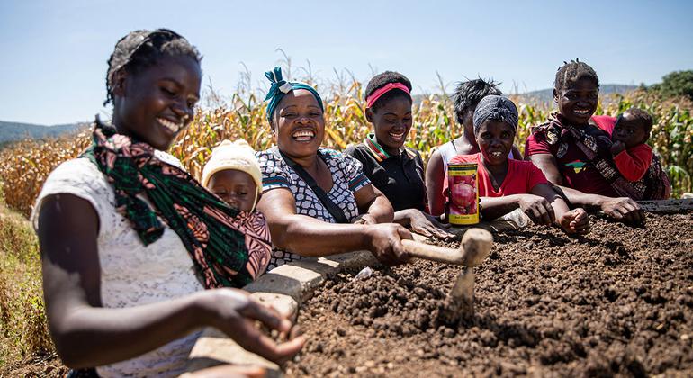 ज़ाम्बिया में महिलाएँ खेतीबाड़ी के तरीक़े व हुनर सीखते हुए.