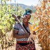 Miriam Mwanza, mkulima nchini Zambia, anatabasamu huku akiwa ameshika mahindi yaliyovunwa na jembe katika shamba la alizeti na mahindi.