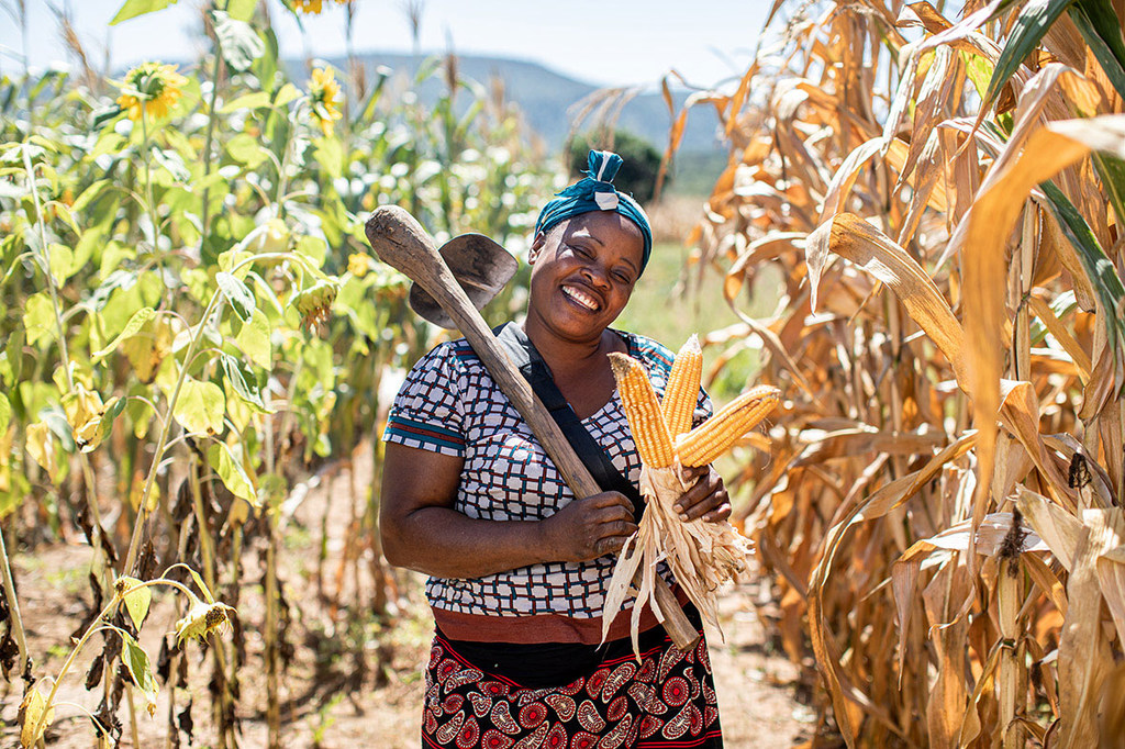 Женщины в Замбии изучают новые способы обработки земли.