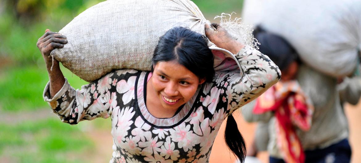 Insegurança continua no departamento de Cauca, no sudoeste da Colômbia, onde a cafeicultura é uma indústria importante.