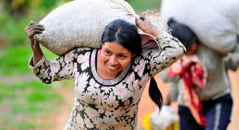 Insegurança continua no departamento de Cauca, no sudoeste da Colômbia, onde a cafeicultura é uma indústria importante.