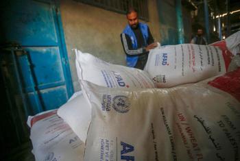 الأونروا توزع الدقيق في منطقة وسط قطاع غزة.