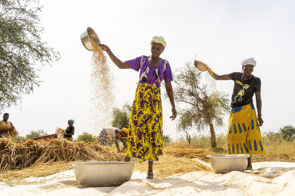 Au Burkina Faso; une famille d'agriculteurs impliquée dans des activités de résilience