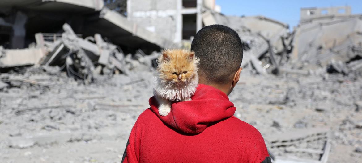 A man looks at the devastation in a neighbourhood in Gaza.