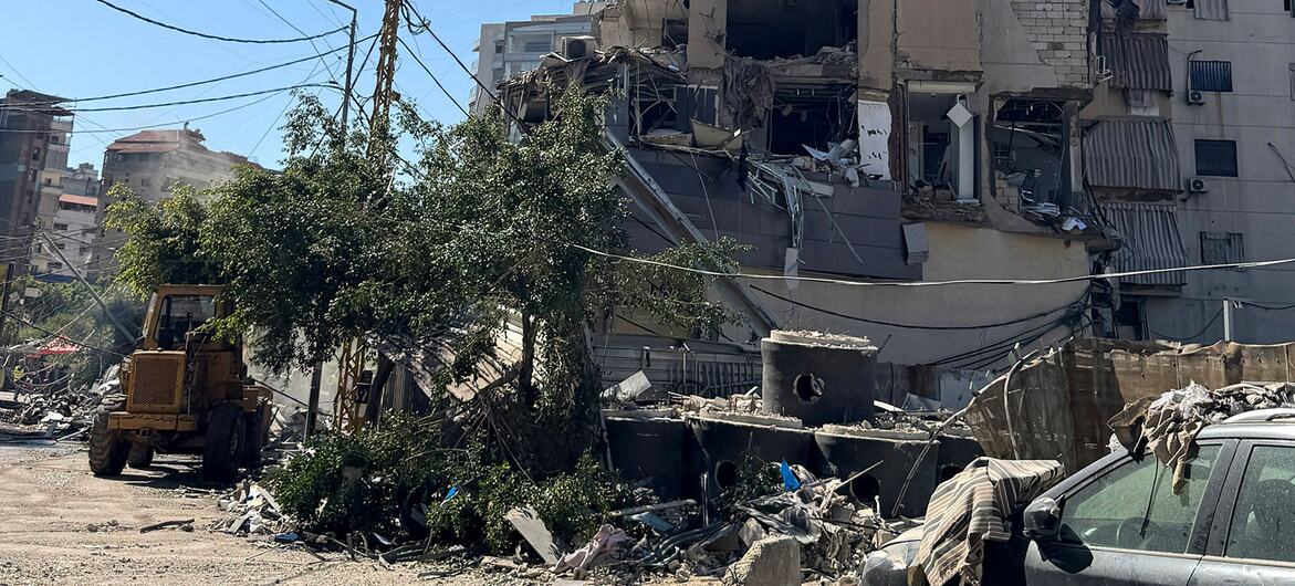 media:entermedia_image:3dd163fd-bd98-4f0b-908f-f710486f0ba1