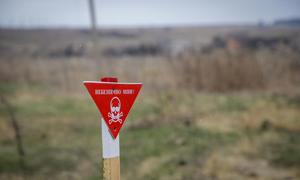 乌克兰境内的一个地雷警告标志。