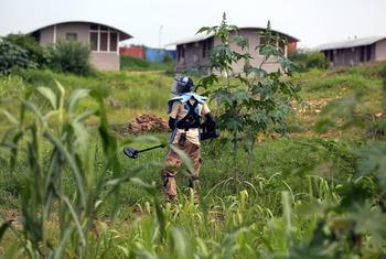 Travaux de déminage près de la base de la Mission des Nations Unies au Soudan du Sud (MINUSS), à Juba.
