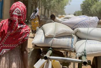 تواصل الأمم المتحدة تقديم المساعدة المنقذة للحياة في منطقة تيغراي الإثيوبية.