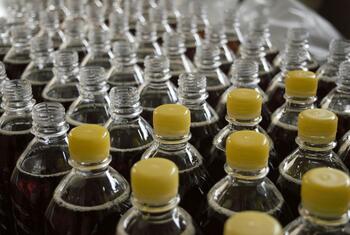 Des rangées de bouteilles en plastique pour sodas avec des bouchons jaunes, certaines ouvertes et d'autres fermées, remplies de liquide gazeux foncé.