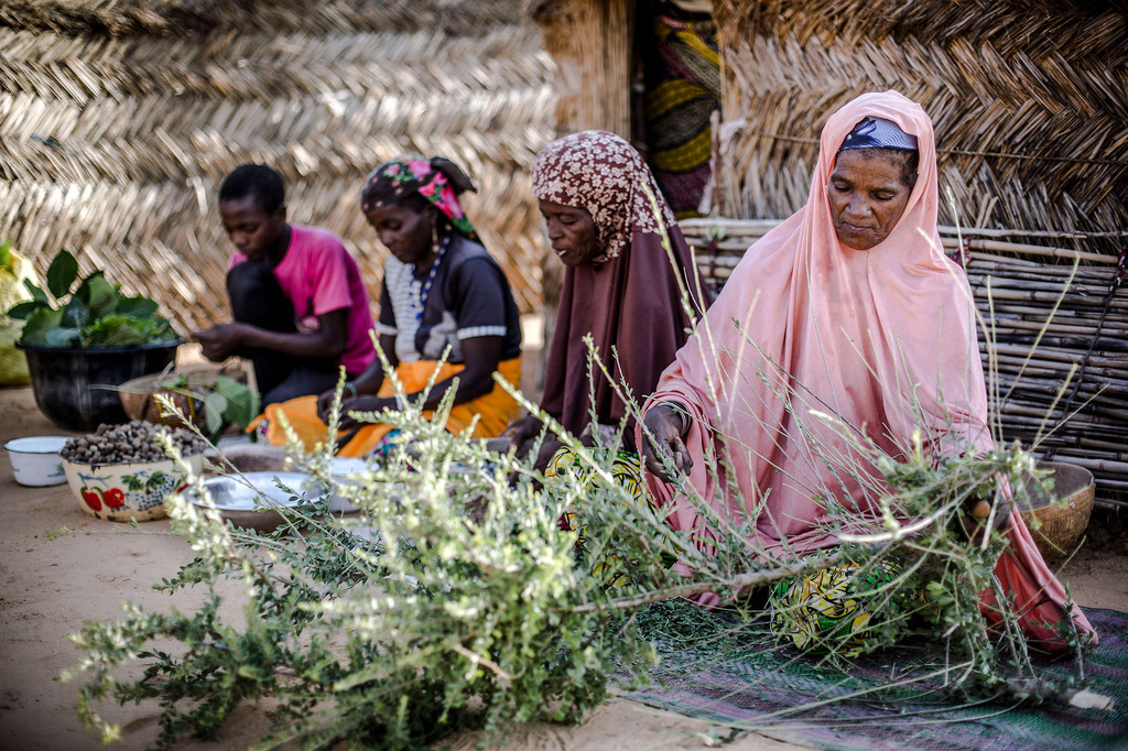 Des femmes au Niger pratiquent l'exploitation durable des ressources forestières (photo d'archives).