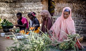 Women in Niger are practicing the sustainable harvesting of forest resources. (file) 