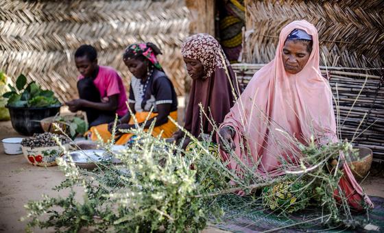 Les agences de l’ONU continuent de fournir de l’aide au Niger