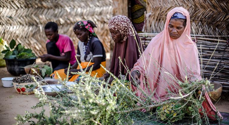 Women in Niger are practicing the sustainable harvesting of forest resources. (file) 