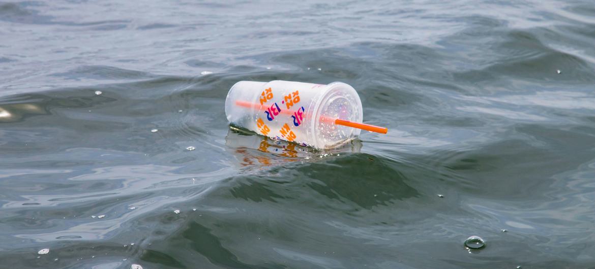 Um copo de plástico flutua no oceano