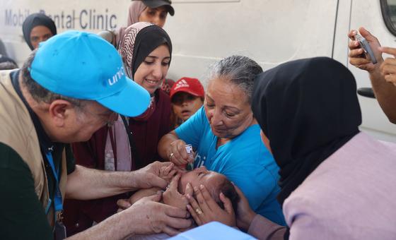 UN staff administer polio vaccines at a health clinic in Deir al-Balah, Gaza, in September 2024. UN staff administer polio vaccines at a health clinic in Deir al-Balah, Gaza, in September 2024.