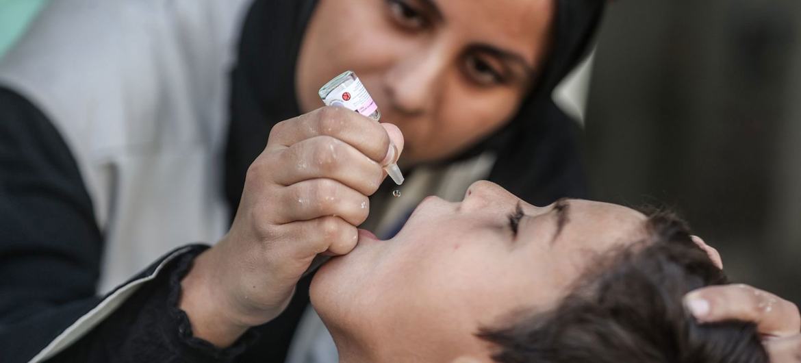 A child in Gaza is vaccinated against polio.