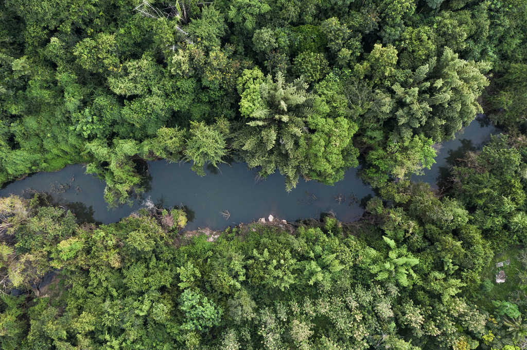 印度尼西亚拥有广阔的热带雨林。