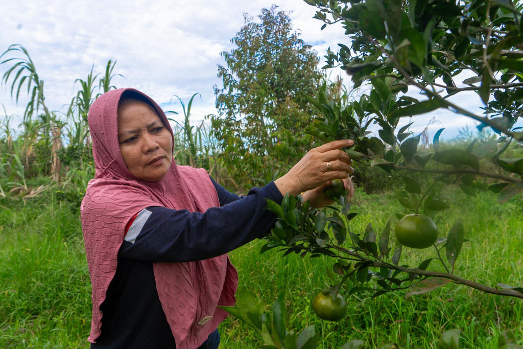 The Green for Riau initiative in Indonesia is protecting forests and empowering communities.