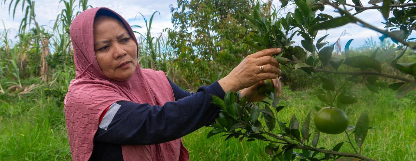 The Green for Riau initiative in Indonesia is protecting forests and empowering communities. The Green for Riau initiative in Indonesia is protecting forests and empowering communities.