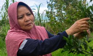The Green for Riau initiative in Indonesia is protecting forests and empowering communities.
