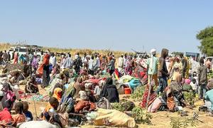 People who have fled El Fasher arrive in Tawila in North Darfur, Sudan.