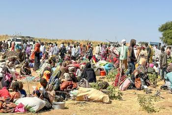 People who have fled El Fasher arrive in Tawila in North Darfur, Sudan.