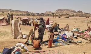 People who have fled conflict in El Fasher in Darfur set up shelters in Tawila.