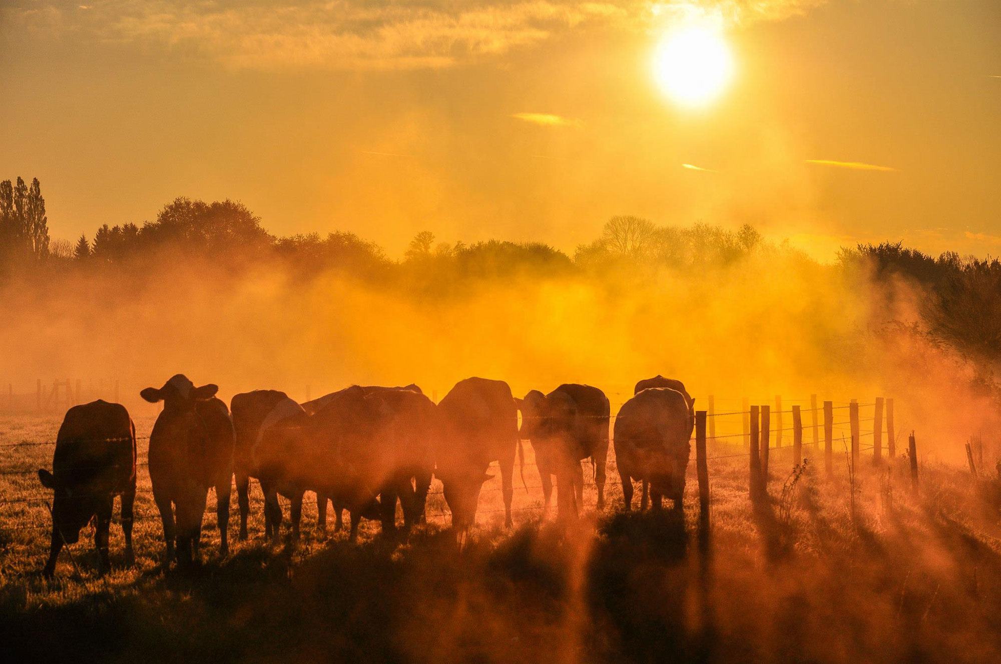 Радио ООН | 03-07.11.2025