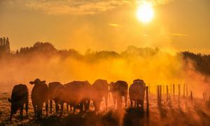 2025 is likely to be the second or third warmest year on record.