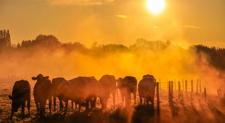 El 2025 se perfila como el segundo o tercer año más cálido jamás registrado.