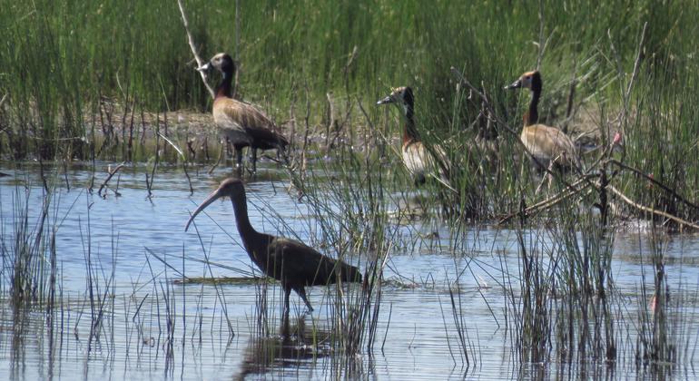 media:entermedia_image:9bb58806-85b3-462e-9550-57839d24247e