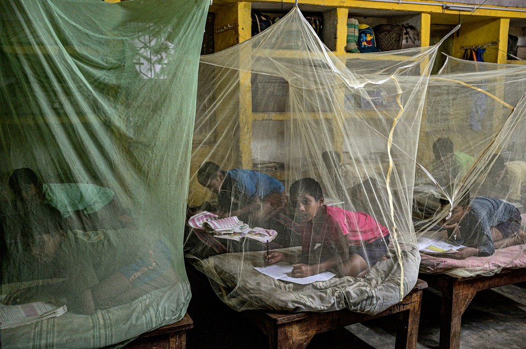 印度：深入恰蒂斯加尔偏远地区，为疟疾高危人群提供援助